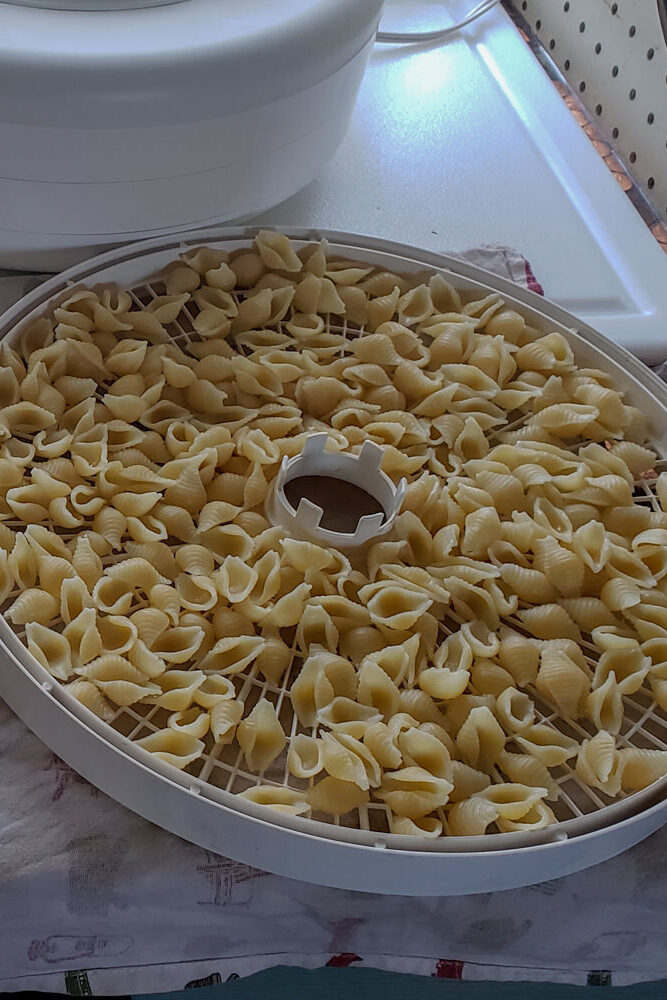 noodles on a drying tray