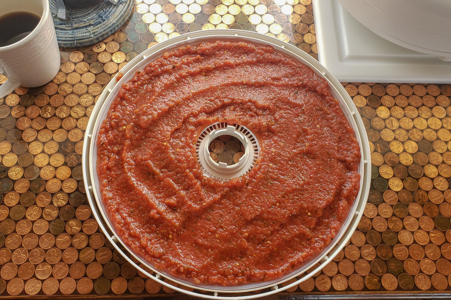 red sauce on a dehydrator tray