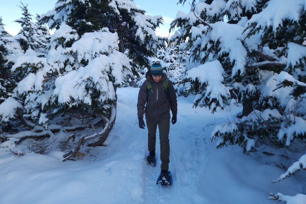 A man walks thorugh snow laden trees.