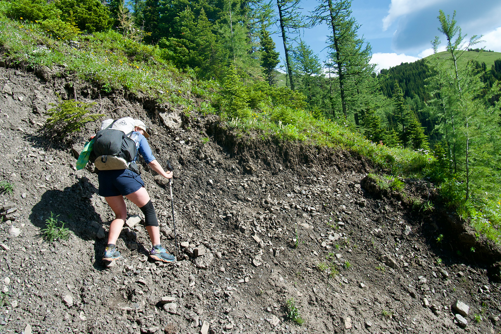 A person wearing a backpack is crossing an eroded section of trail on the side of a hill. There are pine trees and green grass in the background.