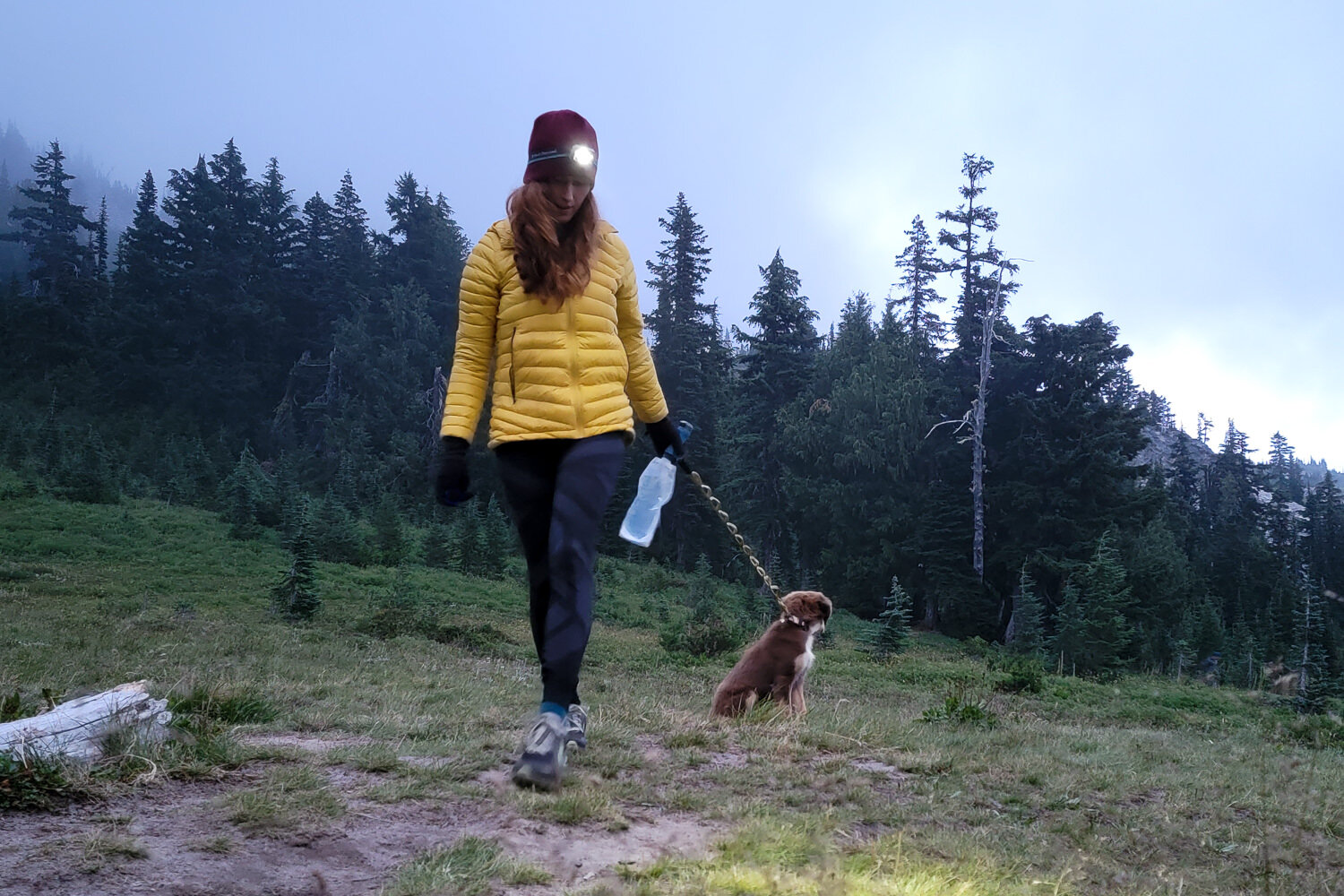 backpacker in the goat rocks walking their dog on a leash with their headlamp on