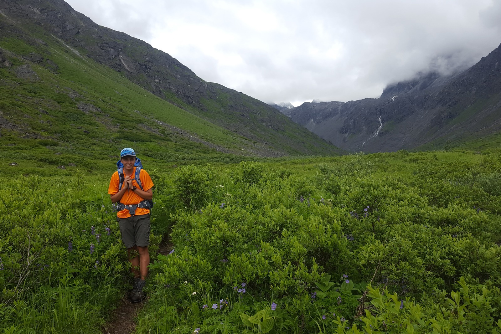 A man walks through lush green brush.