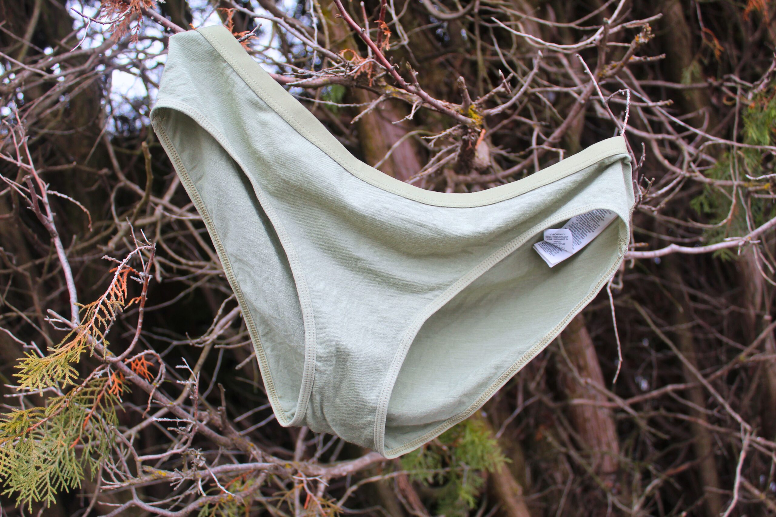 A pair of Icebreaker Women's Merino 150 Siren Hipkini underwear hanging with a background of branches