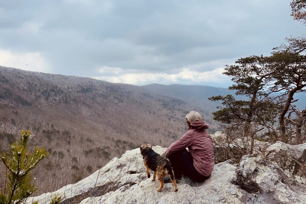 A person wearing a rain jacket is sitting on a rock on the edge of a ridge looking out at the ridge on the other side of the valley. There is a small terrier standing next to them and the day is overcast.
