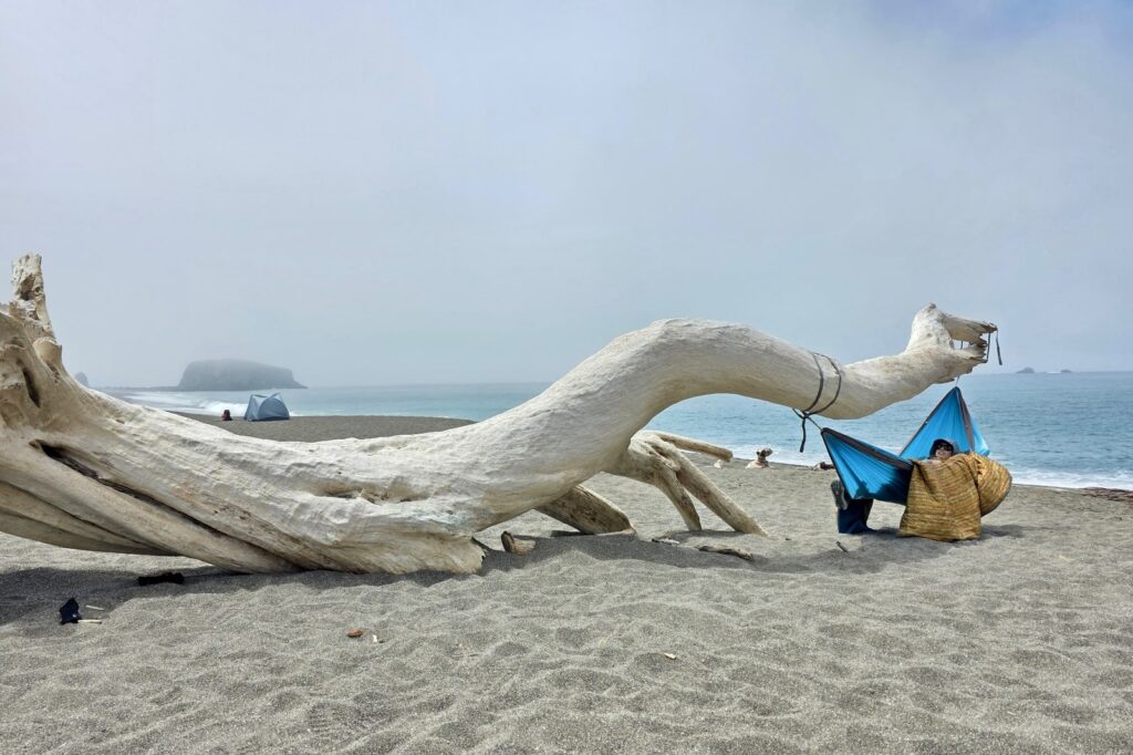 A woman lays in a hammock covered by a blanket. The hammock is hung off a wave-washed log with the ocean in the background