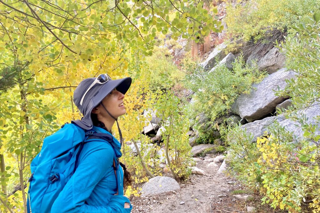 A woman looks up at the golden aspens lining her hiking trail.