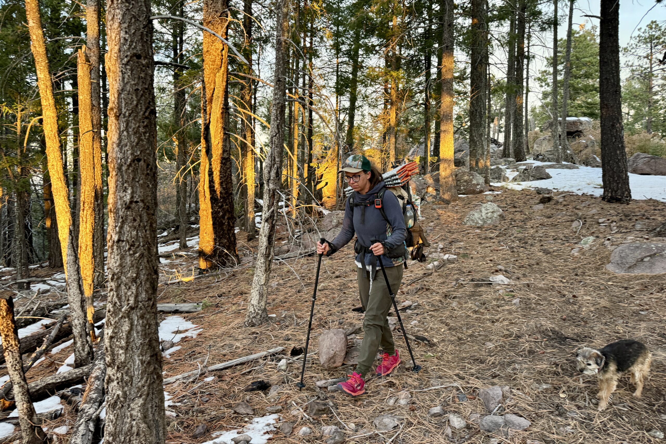 A person wearing a backpack and using trekking poles to walk in a forest with a small dog close by.