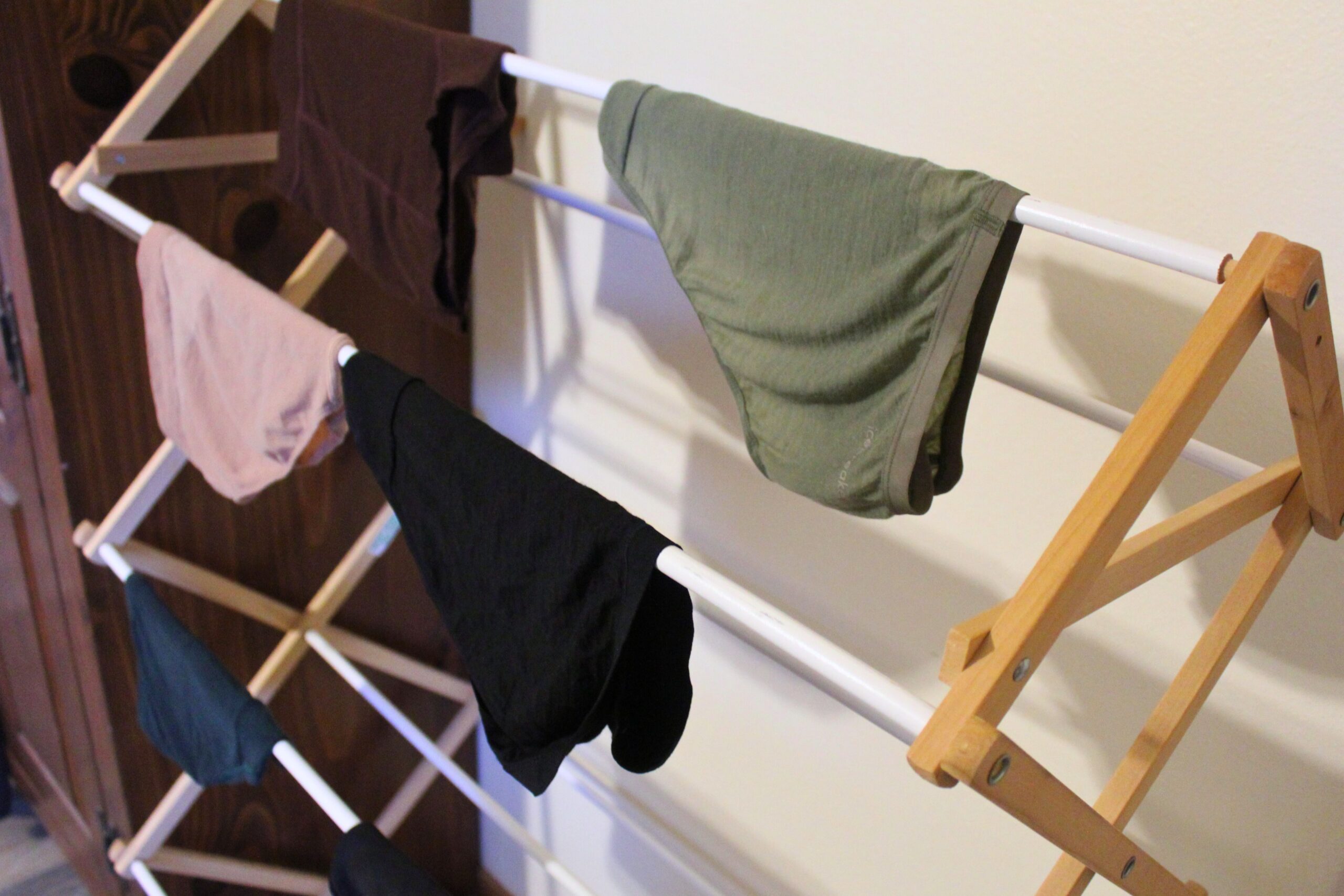 Several pairs of underwear drying on a rack