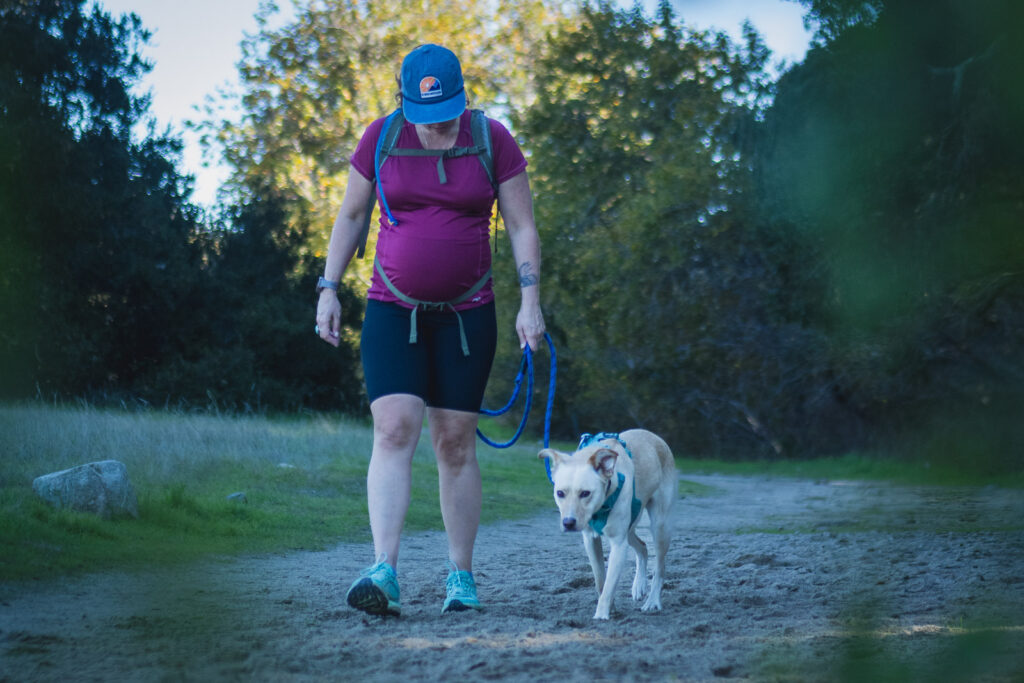 Pregnant person hiking on a flat trail, wearing maternity shorts and a t-shirt, with their white/yellow medium sized dog.