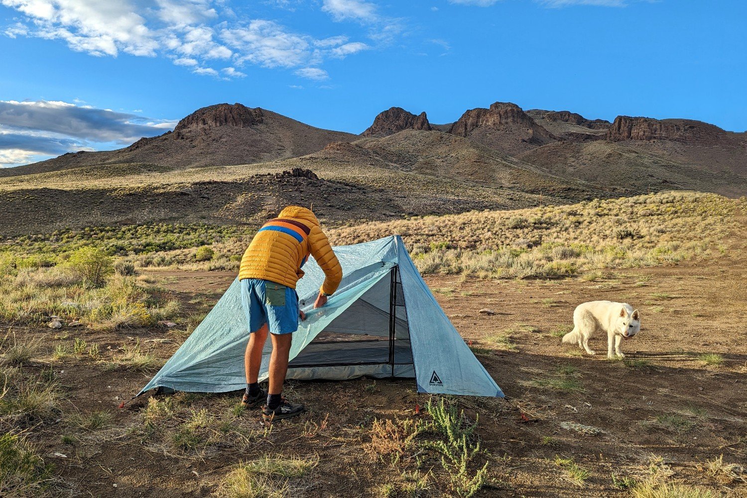 person setting up durston tent in a high desert with their dog